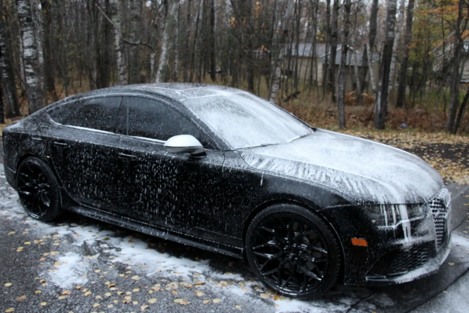 Black Audi sedan covered in snow foam on a driveway among birch trees in autumn